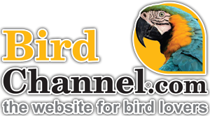 Bird Channel Logo