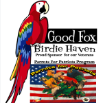 Good Fox Birie Haven Logo