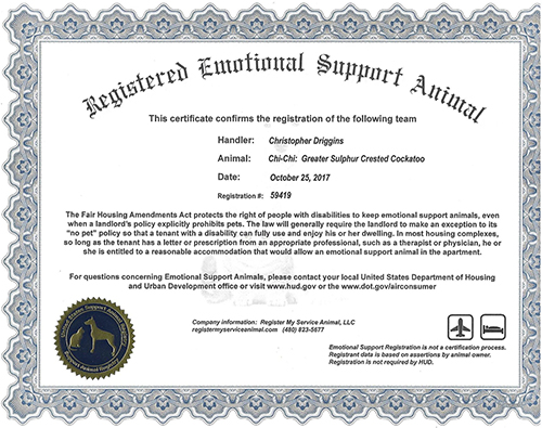 Registered support Animal Certificate