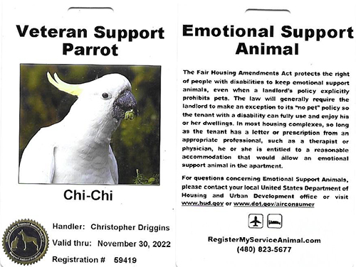 Support Badge for Veteran Support Parrot