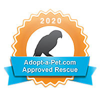 2020 Adopt A Pet