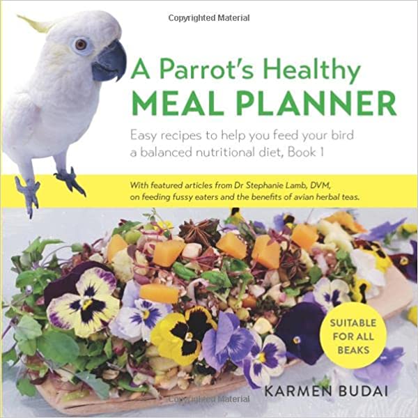 A Parrot's Healthy Meal Planner A