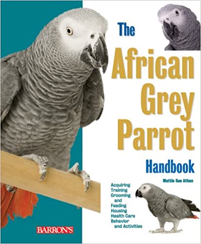 African Grey Parrot Handbook